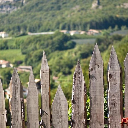 Santlhof - Sauvignon Leilighet Cortaccia Eksteriør bilde